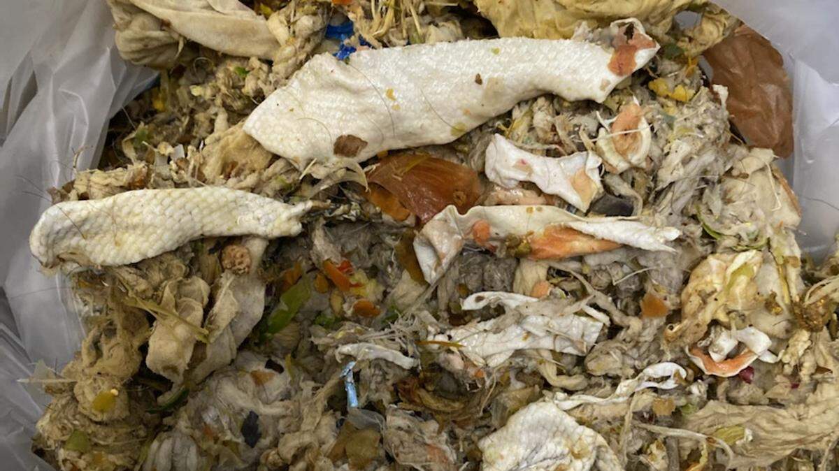 Fish skin and bones removed from the Lynden wastewater treatment plant intake screen in a March 24 city photo. The amount of fish tissue clogging the screen was not measured.