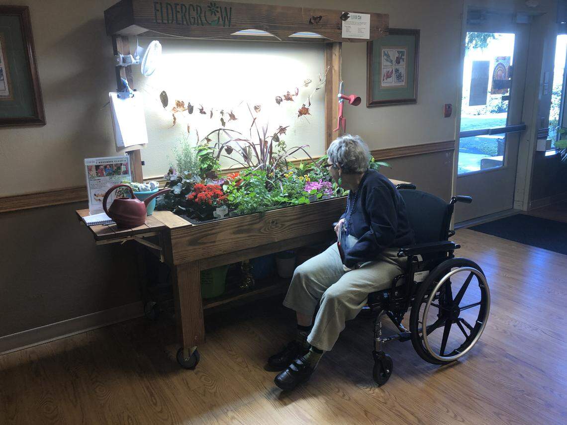 Mt. Baker Care Center, a Bellingham senior-living facility, partnered with Eldergrow of Seattle for an indoor garden designed to take advantage of the therapeutic benefits of horticulture.