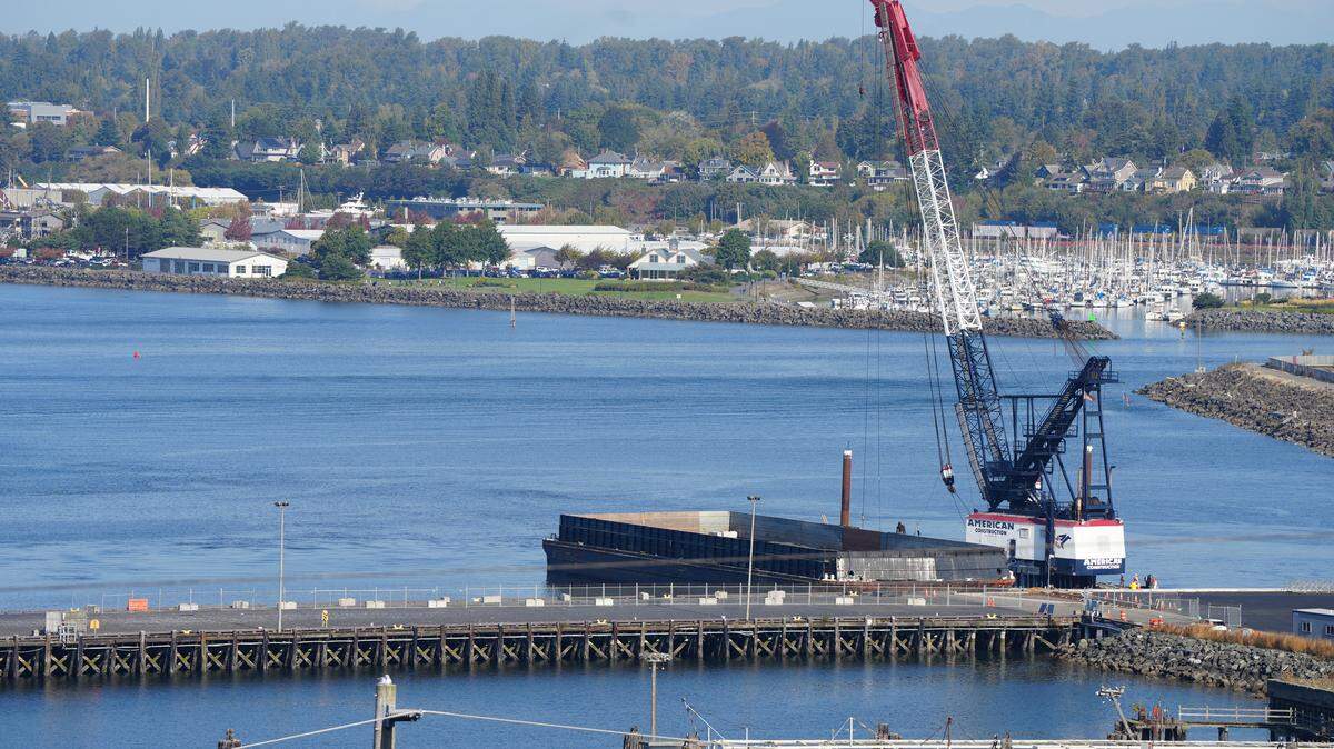 Election: Whatcom County voters to decide on Port race, commission size