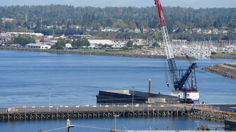 Port of Bellingham update: Waterfront construction, hidden ‘disco duck’ and more