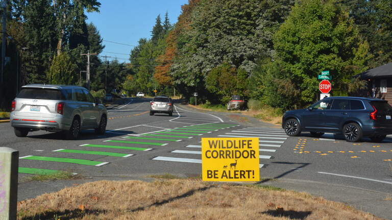 Bellingham widens bike lanes, adds flashing lights to several crosswalks
