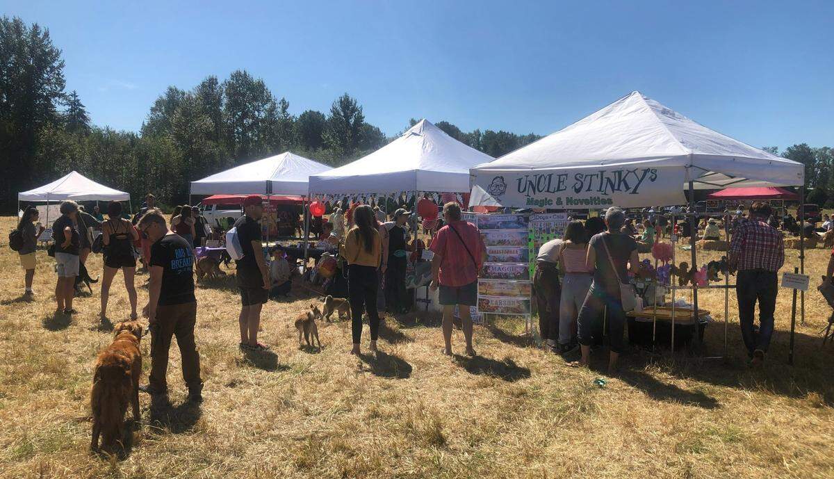 Attendees browse vendors’ stands at the Whatcom Humane Society’s 13th annual Dog Days of Summer Festival on Sunday, Aug. 28, in Bellingham.