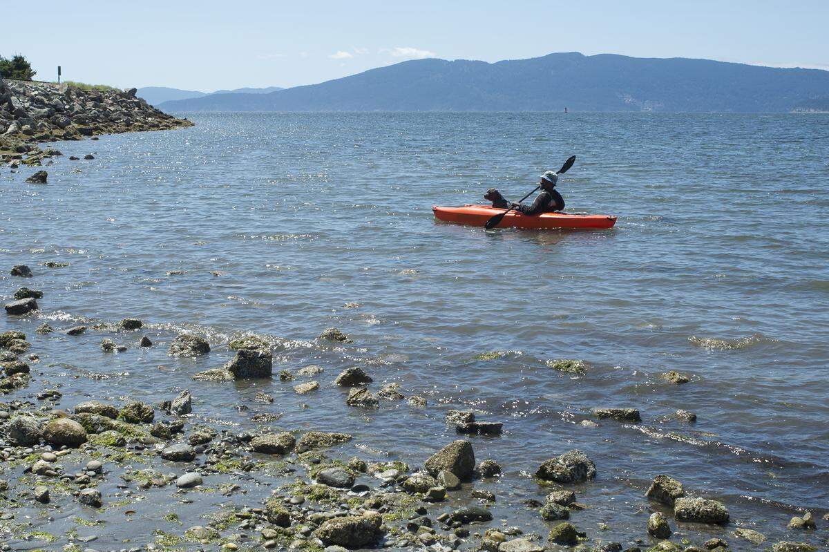 Neko Goodman kayaks with his dog Kobe at Marine Park on in Bellingham. The park offers a gently sloping, pebbly beach, marine life galore at low tide and places for family picnics.