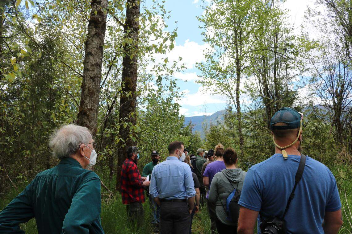 Bob Barker, left, and visitors tour Nelson Road Tree Farm south of Van Zandt near the Nooksack River’s South Fork on Saturday, May 21, in Whatcom County. The Sudden Valley resident in his 90s has spent the last 25 years restoring 71 acres of neglected pasture into a forest filled with native plant species. He was honored Saturday at the Washington Tree Farm Program’s 2022 Tree Farmer of the Year.