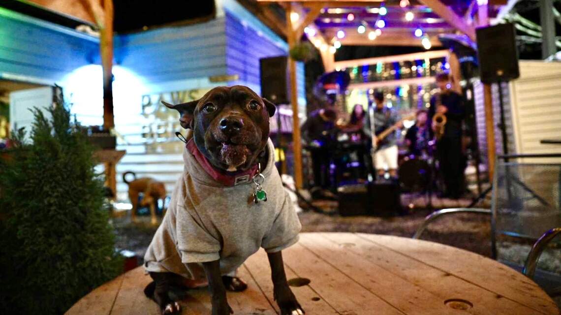 Coming to Bellingham: A sandwich shop, a juice bar and a taproom