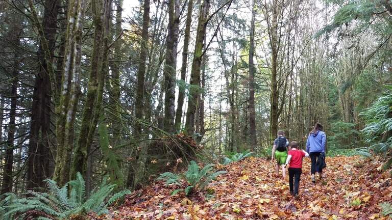 Whatcom County aims to add hiking, biking trails at Lookout Mountain park