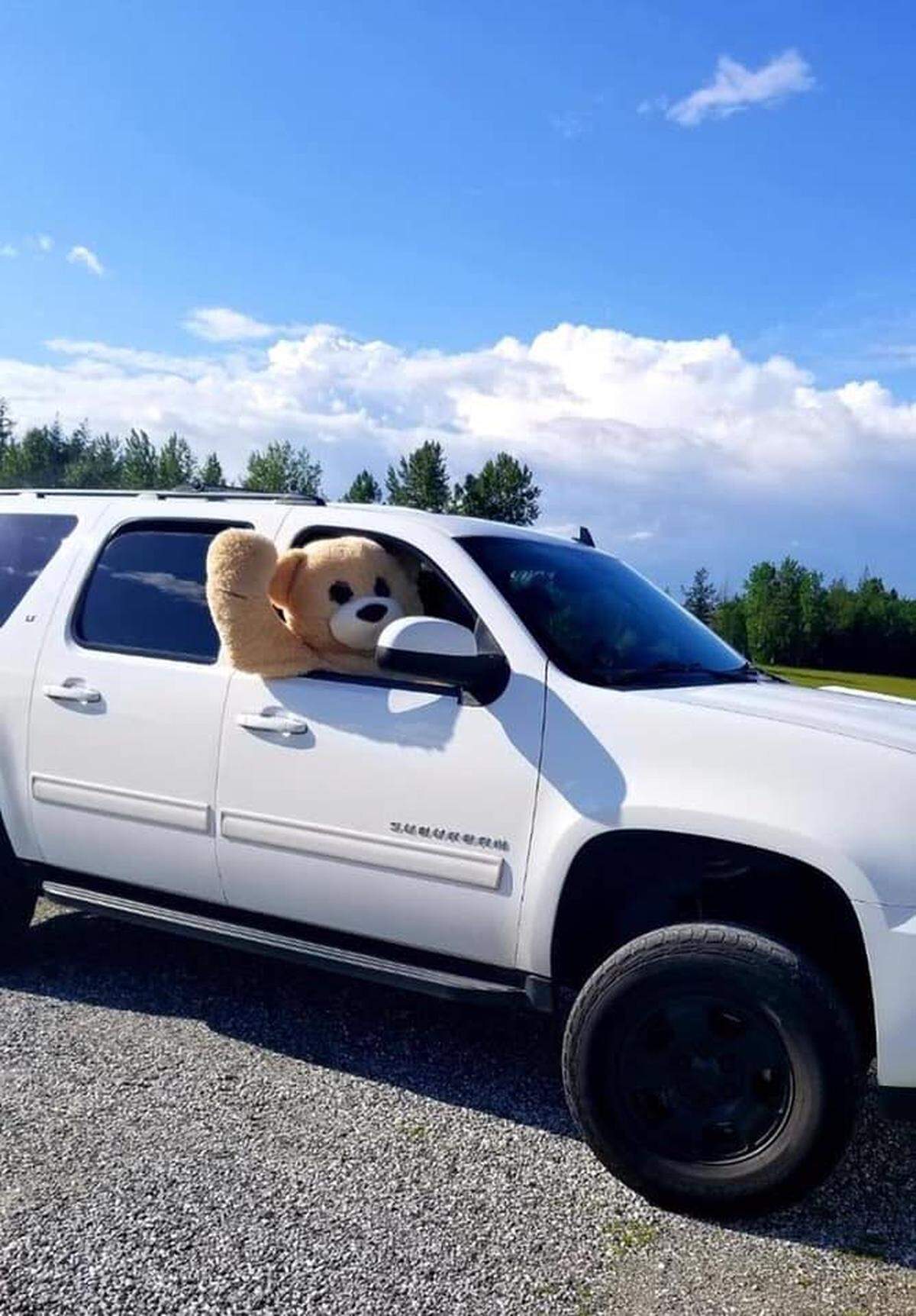 Boozey Bear is winning the hearts of Whatcom County residents by delivering alcohol gifts and cheer to friends during the coronavirus pandemic.