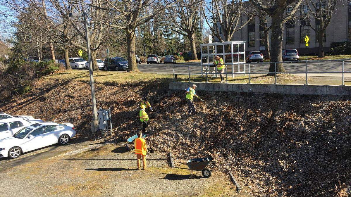 A Whatcom County Sheriff’s Office out-of-custody work crew cleans and plants flowers in last month near the Whatcom County Courthouse. The sheriff’s office reported it saw a 37-percent increase in the number of days served on its out-of-custody work crews in 2018 compared to two years earlier