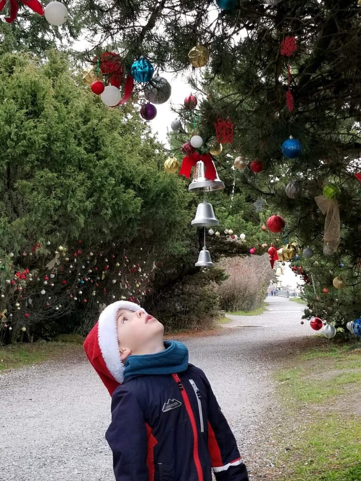 Charlie Bishop looks at the holiday ornaments adorning trees along the South Bay Trail Monday, Dec. 9, in Bellingham.