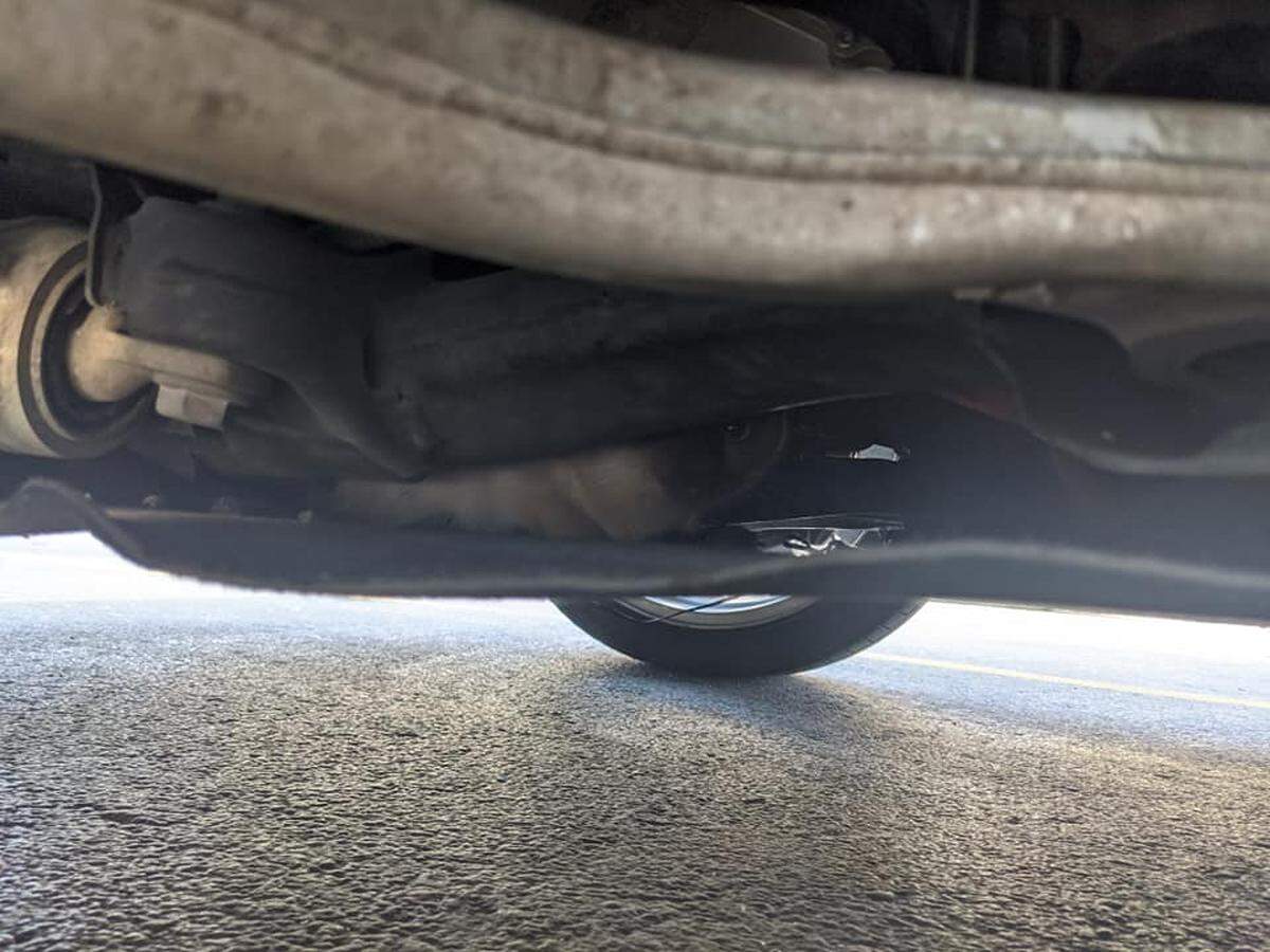 A three-month-old female Siamese kitten peers out from underneath Len Anderson’s car as he waits to board the Alaska ferry Sept. 11 in Bellingham.