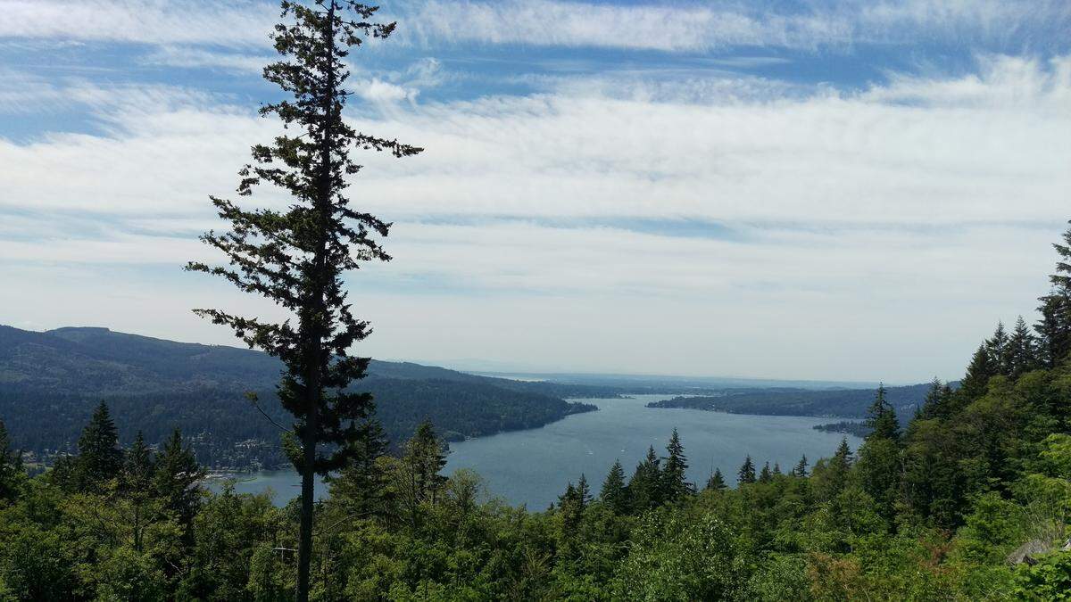 A view from the Chanterelle Trail Overlook in Lake Whatcom Park. 