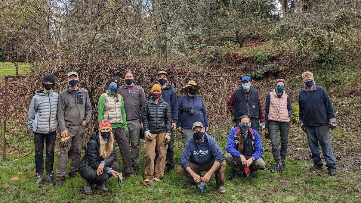 A work party organized by nonprofit Whatcom Million Trees Project met at Woodstock Farm in Bellingham in November. The nonprofit wants to plant and protect a million trees in the county by the end of 2026.