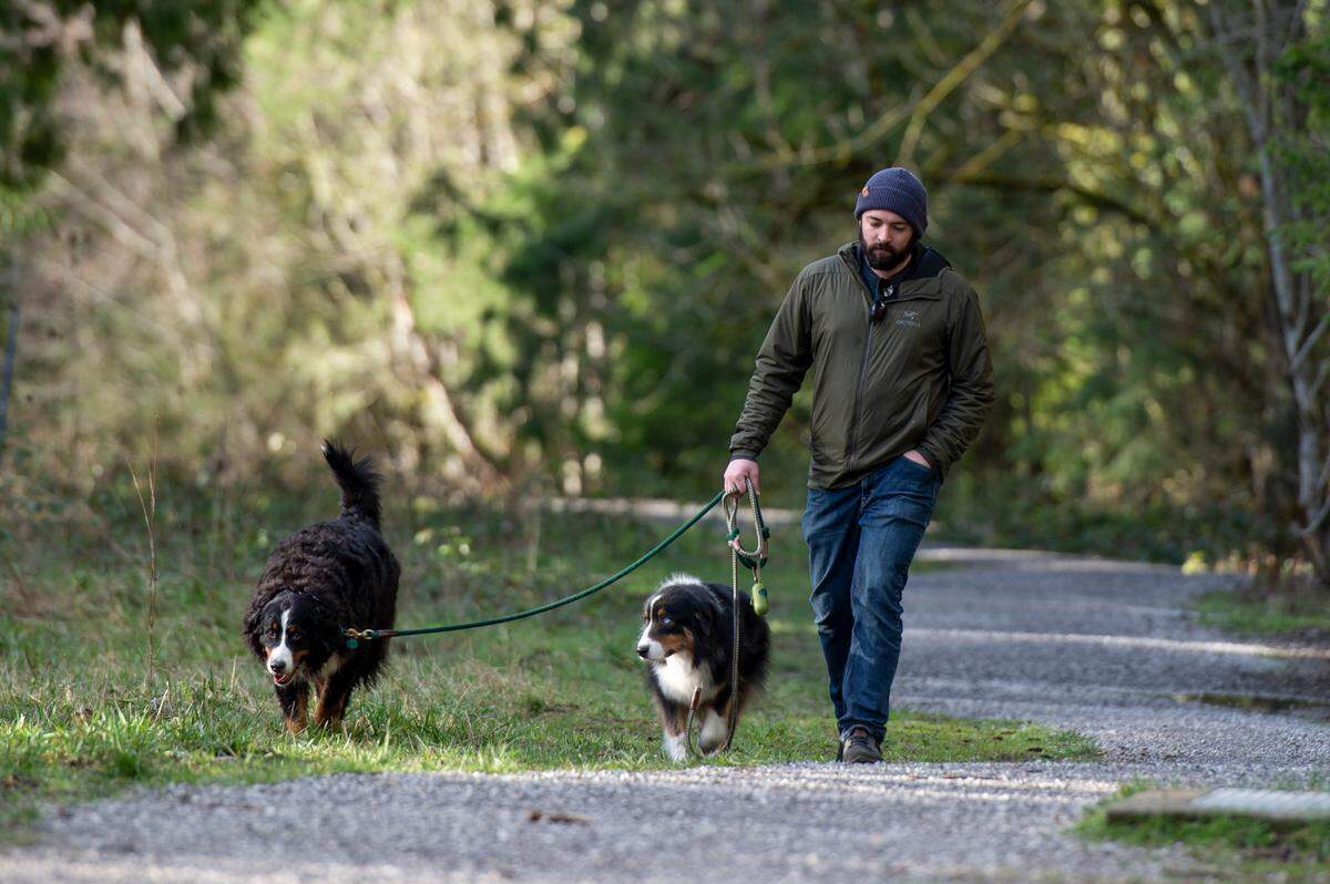 Cameron Cozza walks his girlfiend’s dogs, Wiley and Luna, at Whatcom Falls Park in February in Bellingham. The city has made its leash laws more specific after continuing complaints about aggressive and unleashed dogs in the city’s parks and on trails.