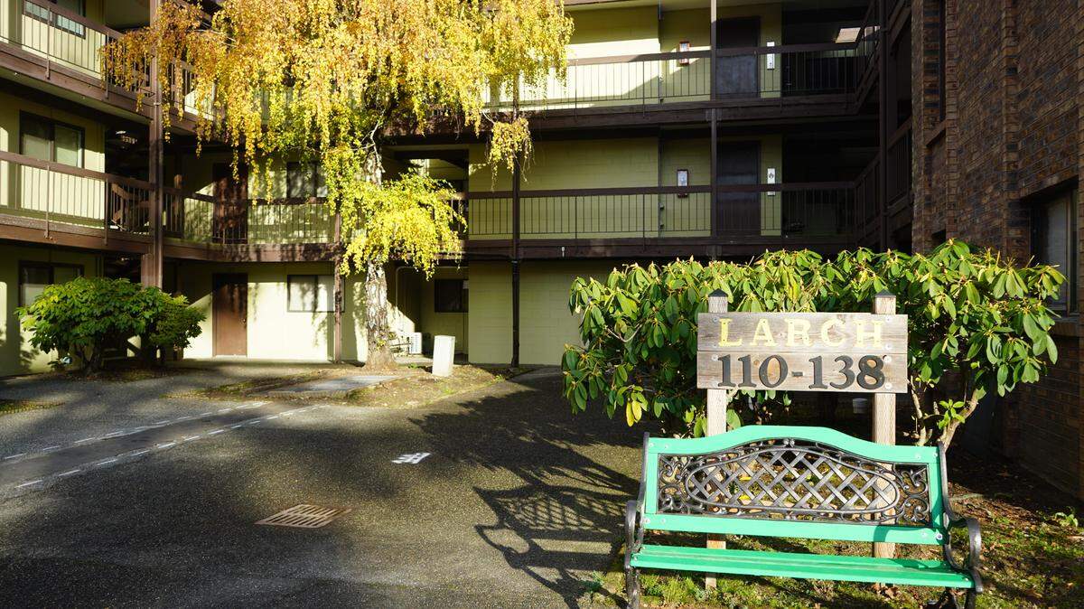 The Larch building at Old Mill Village in Bellingham experienced a sewage leak in its courtyard on Nov. 24.