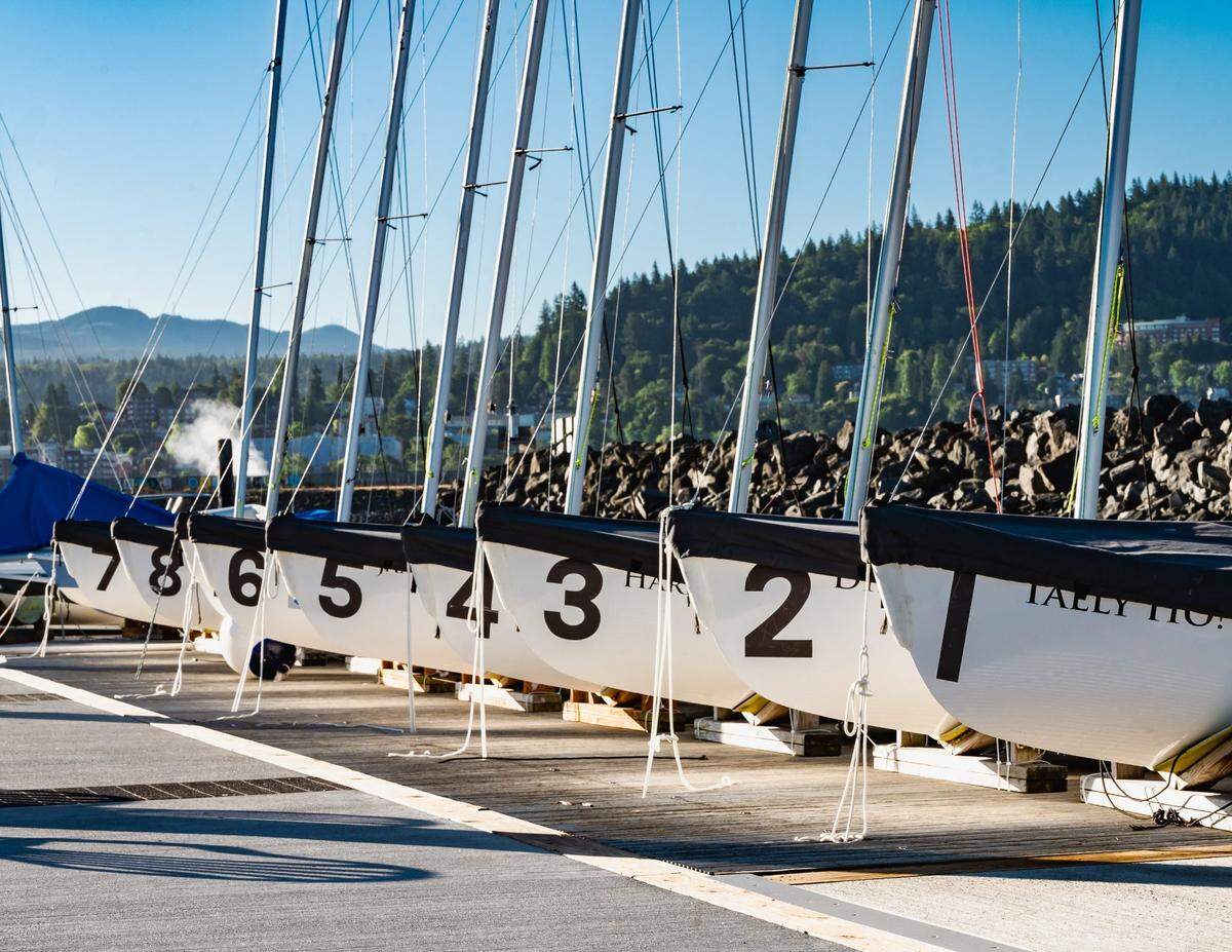 Allen Leaf’s “All Lined Up” was judged Best in Show third place in the 2022 “Essence of Bellingham” photo competition.