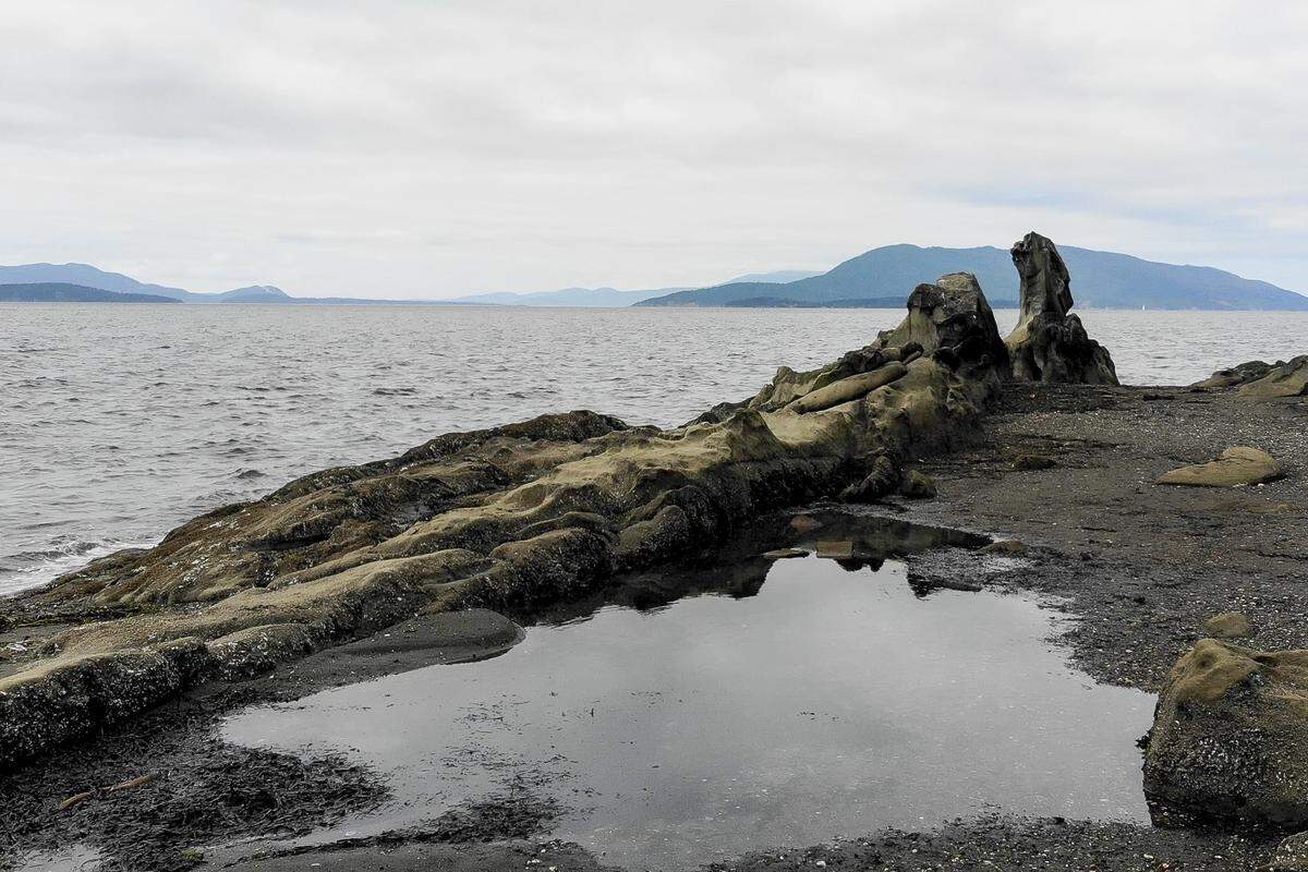 Larrabee State Park has about a mile and a half of shoreline, and Clayton Beach is among the park’s best.