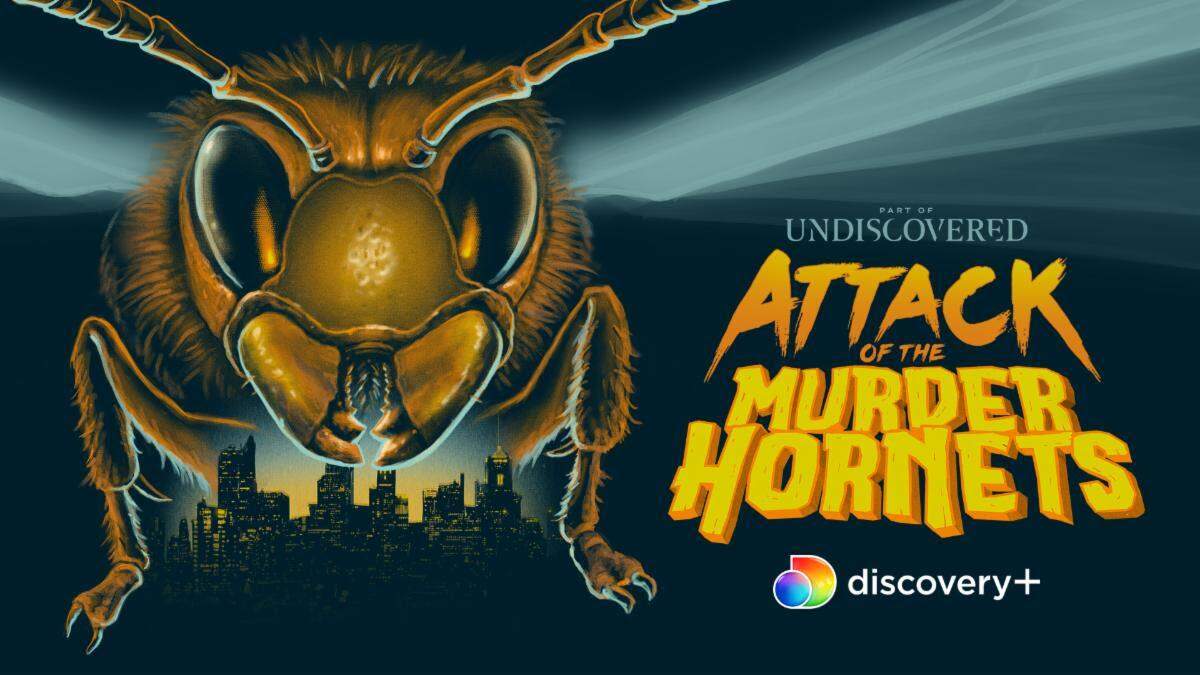 The poster for a new documentary streaming on discovery+.