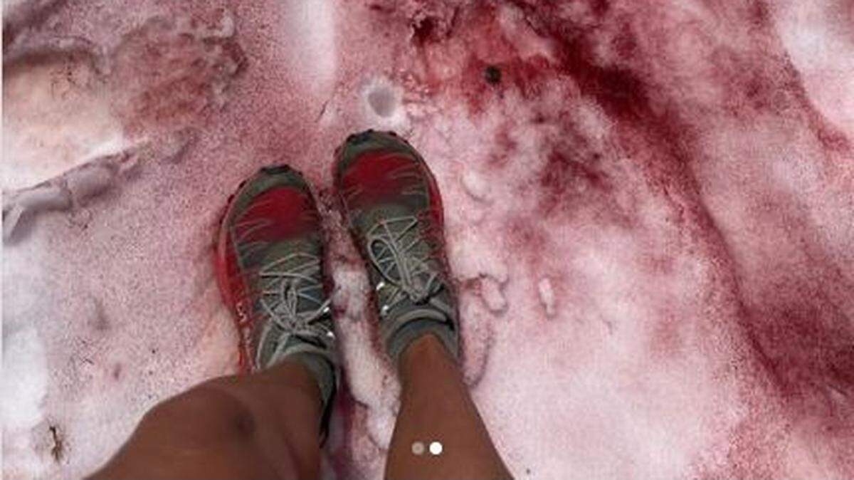 Robin Kodner, an associate professor of environmental sciences at Western Washington University in Bellingham and one of the lead scientists for the Living Snow Project, stands in pink snow in August 2022 in the Entiat Range of the North Cascades in central Washington state.