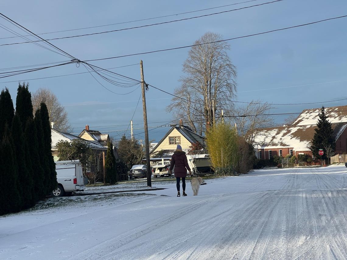 A woman walks her dog on snowy street in the Sunnyland neighborhood of Bellingham, Wash., on Tuesday, Feb. 4, 2025.