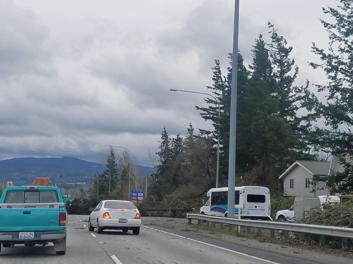 A tree knocked down by Thursday’s winds blocked both lanes of southbound Interstate 5 near the Guide Meridian exit, forcing the freeway to be briefly closed until it could be removed.