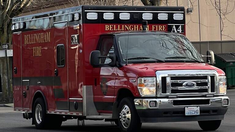 Whatcom County 6-year-old critically injured by driftwood log at Squalicum Beach
