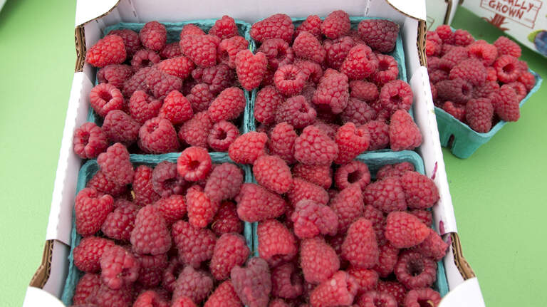 Looking to buy local berries in Whatcom County? Check out these farms, open now