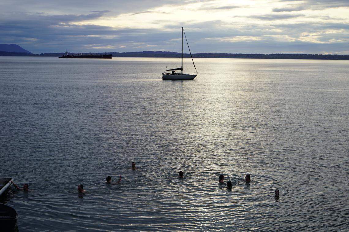 Western Washington University Cold Plunge Club members swim in the water off Taylor Dock on Wednesday, April 29, in Bellingham, Wash.