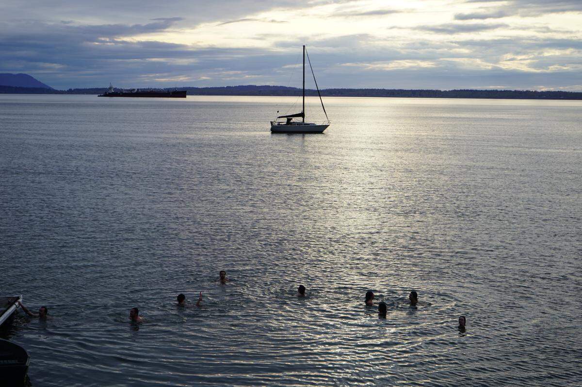 Western Washington University Cold Plunge Club members swim in the water off Taylor Dock on Wednesday, April 29, in Bellingham, Wash.