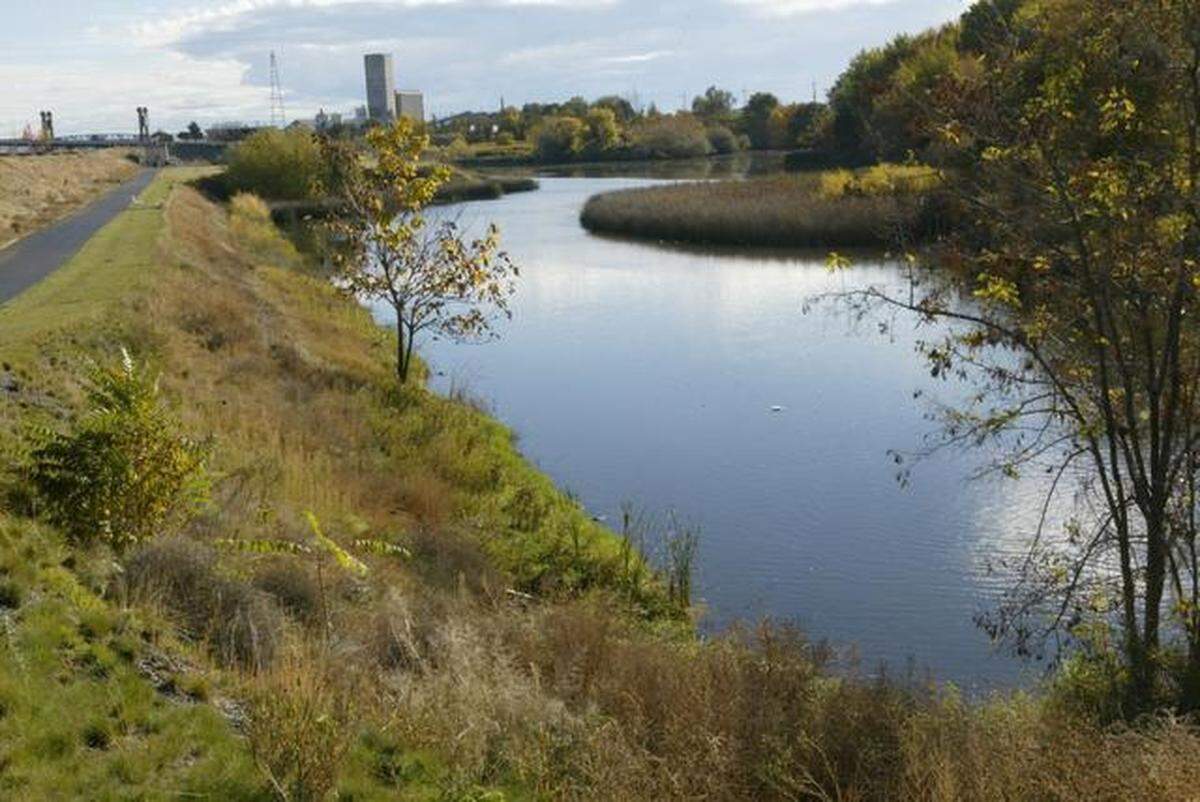 Duffy Pond Kennewick