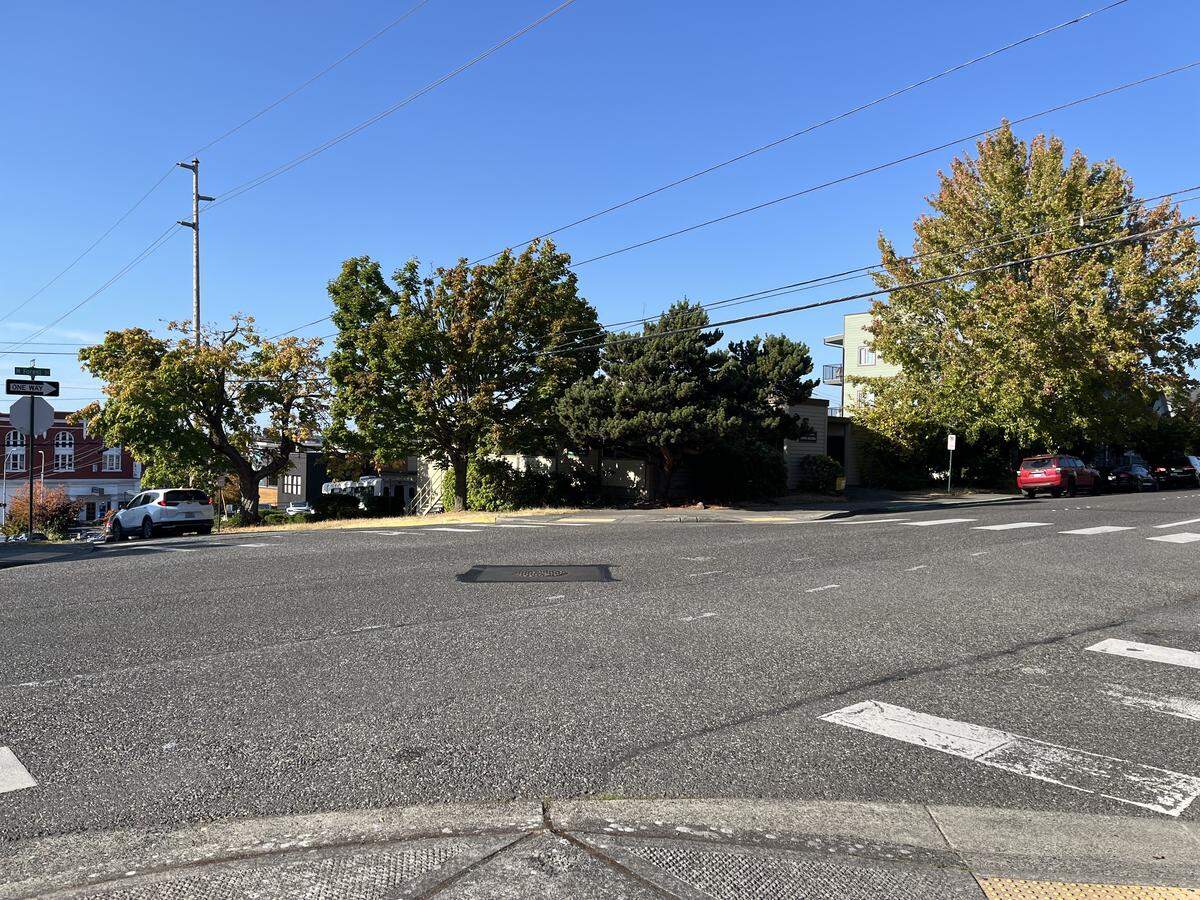 The Maple Forest Dental Building on the corner of Maple and Forest Streets is shadowed by trees on September 18, 2025, in Bellingham, Wash. The building is proposed to be demolished and replaced with a 36-unit multifamily residential housing project.