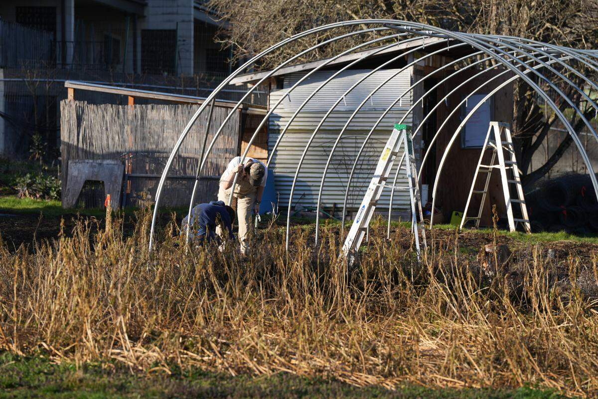Workers tend to the land at City Sprouts Farm, an urban vegetable farm that shares the site of LaFreniere Court.