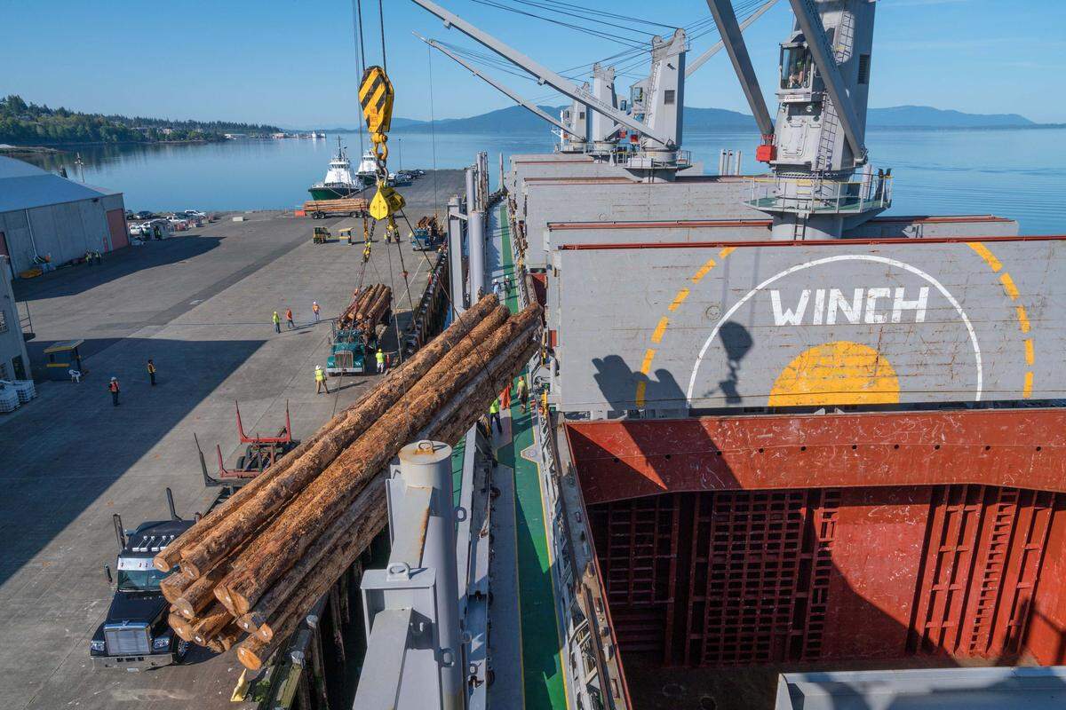 Logs are loaded onto the African Egret at the Port of Bellingham. A new service contact announced Thursday will allow international cargo to begin regularly arriving at the Bellingham Shipping Terminal.