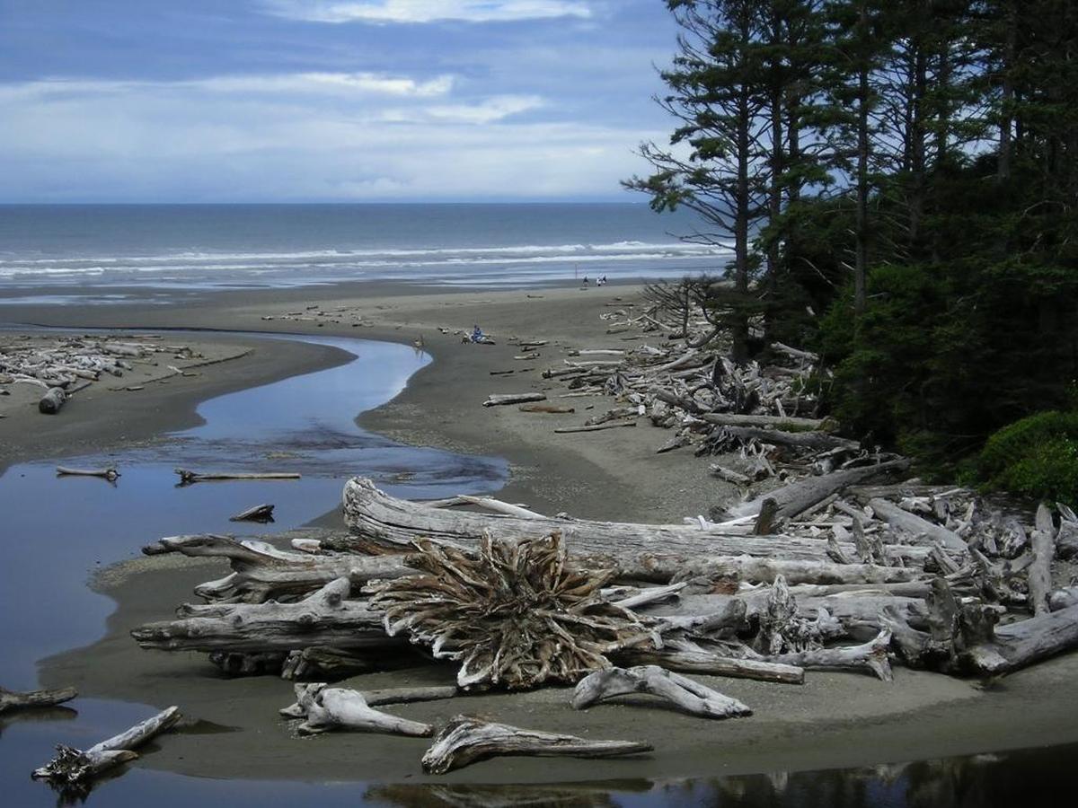 Kalaloch Beach, one of the most visited areas of Olympic National Park, is on the southwest coast of the Olympic Peninsula, accessible off Highway 101.