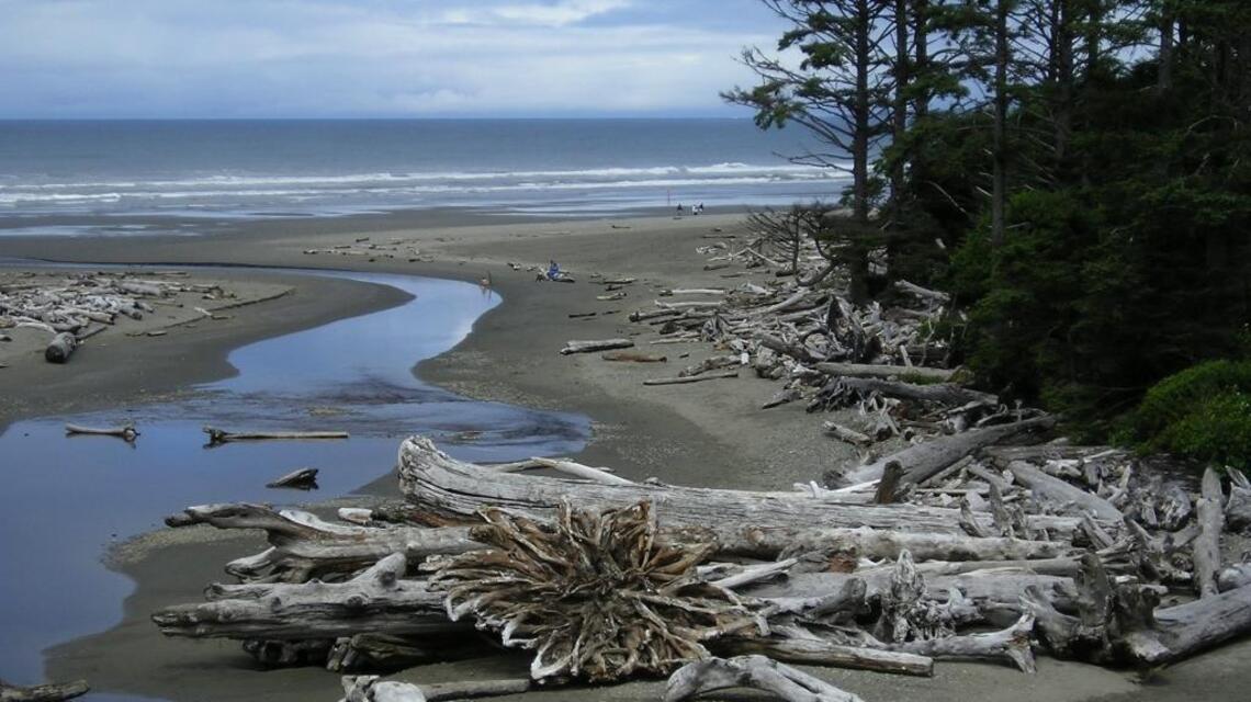 2 Washington state road trips with ‘stunning views’ ranked among best in the US