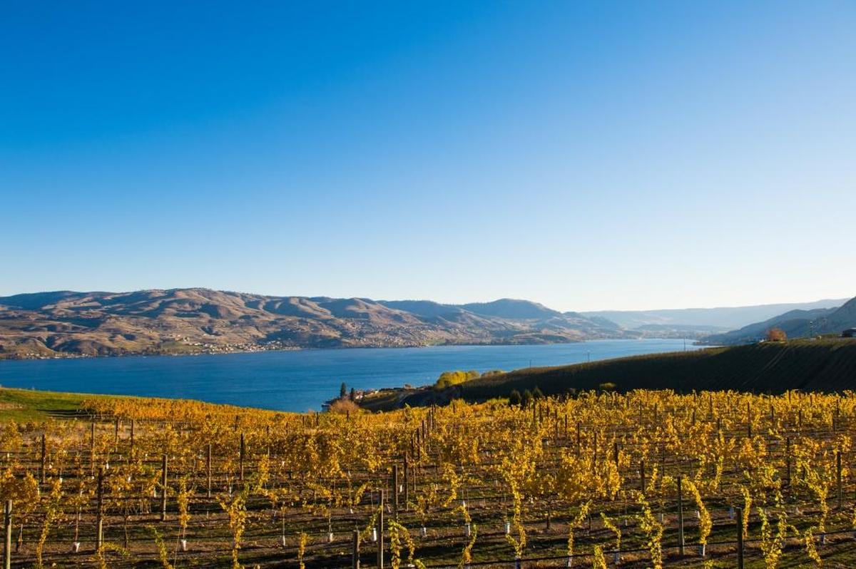 With its burgeoning wine industry, the Lake Chelan area offers fine food and drink to go along with its scenic vistas.