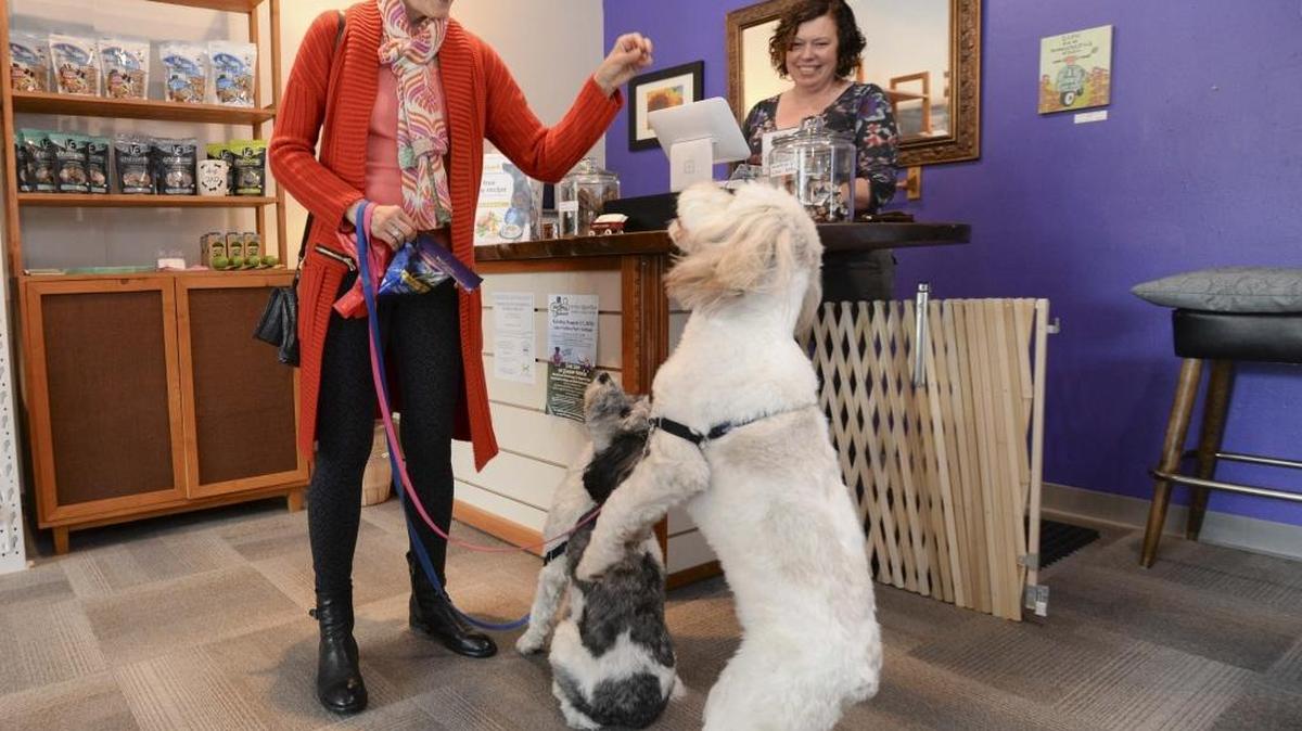 Customer Beth Zacher gives her dogs Esa, left, and Divot treats while store owner Sally Noble looks on at the Village Green Pet Supply store in Fairhaven on Thursday, June 2, 2016.