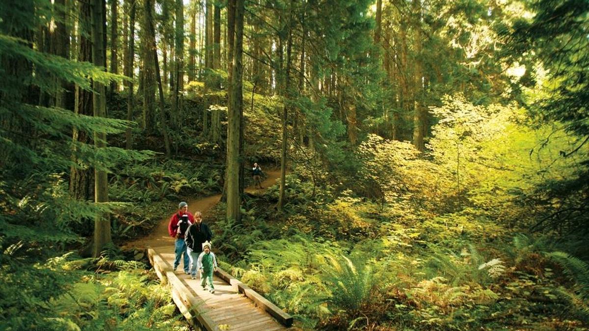 
A family walks along the trail at the Stimpson Family Nature Reserve in the fall.
