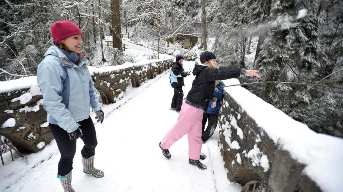 The bridge at Whatcom Falls Park in Bellingham is a great place to launch a snowball.