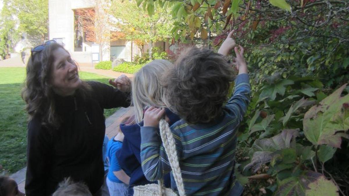 Carolyn Mulder collects seed pods on WWU’s campus with her 3½- to 5-year-old students.