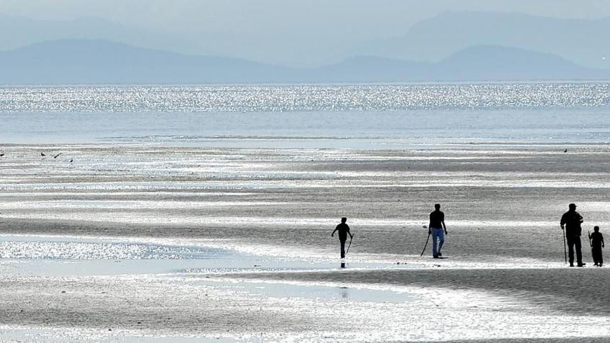 Walkers explore the tideflats of Semiahmoo Bay in May, 2013. It’s a favorite spot for birdwatchers in the winter.