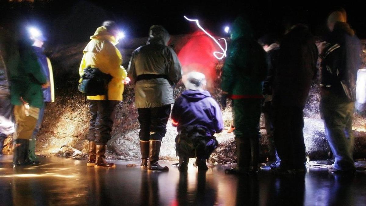 Participants gather at low tide to see intertidal creatures during a night-time beach walk at Larrabee State Park in February, 2007.