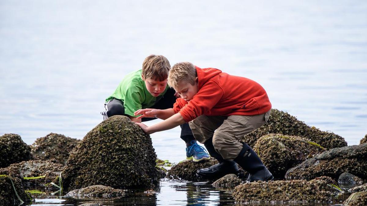 Bellingham School District students participate in Wild Whatcom’s EdVentures school program at Larrabee State Park in May 2017.