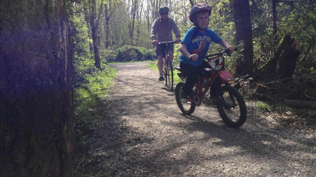 Connelly Creek Trail is well-maintained and perfect for bicycling.