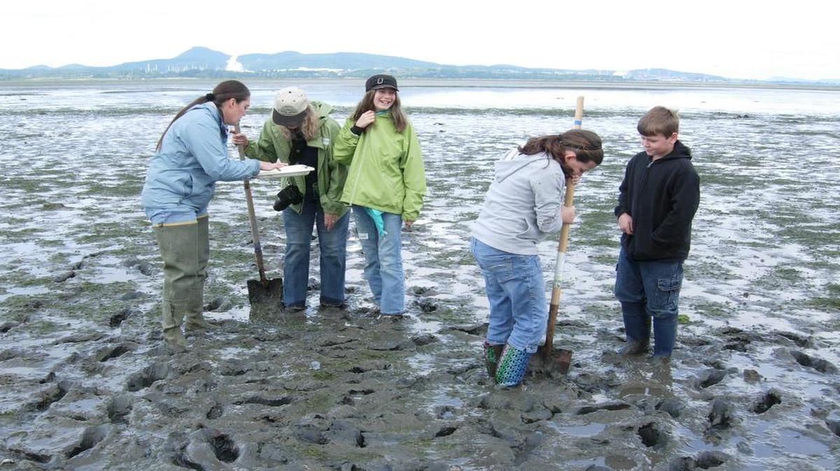 
Staff from the Padilla Bay nature center lead a Mudflat Safari in 2011.

