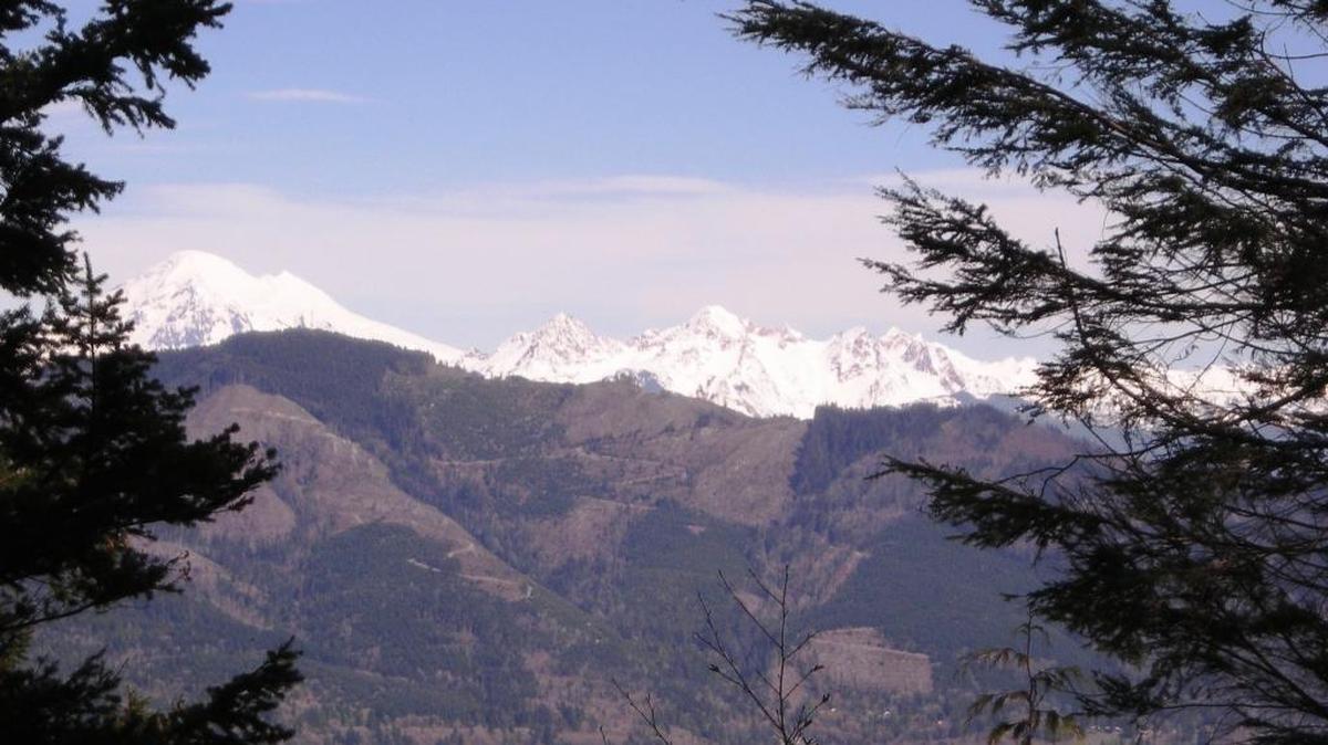 The Chuckanut Ridge Trail near Bellingham takes hikers through the woods and offers stunning views east to the Twin Sisters and Mount Baker and west to the San Juan Islands.