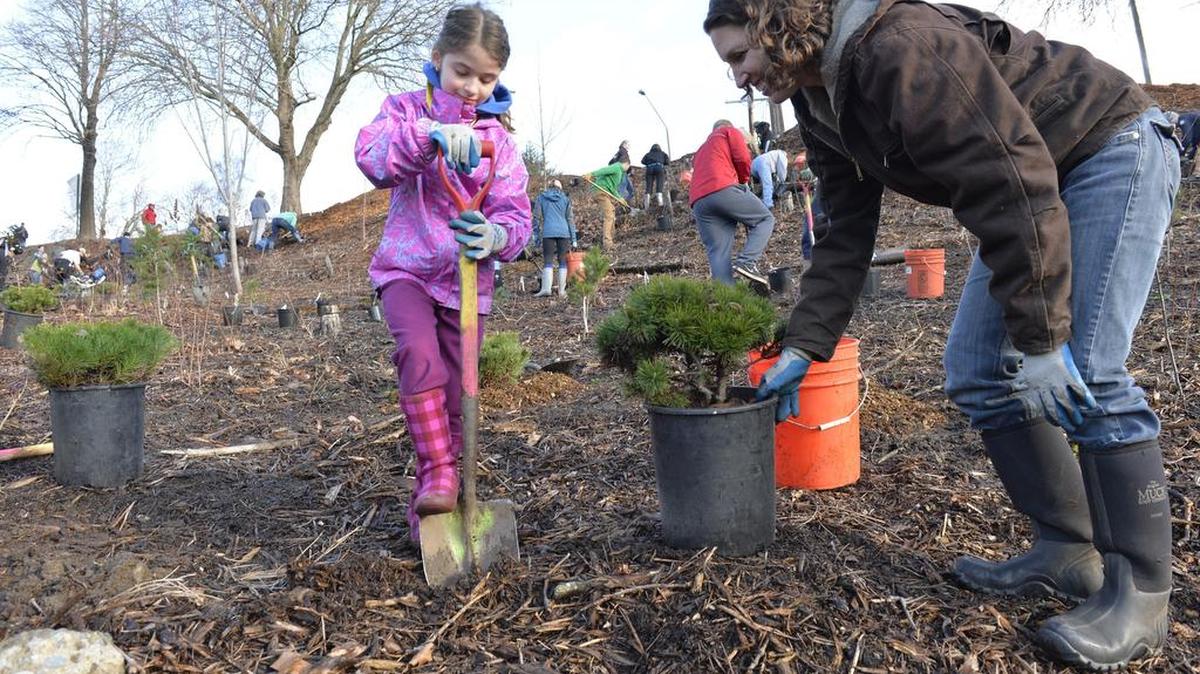 
Cora Burns, 8, and her mother, Analiese Burns, plant a bush during a volunteer work party to plant trees and other native plants Whatcom Falls Park in Bellingham. The 2015 event was coordinated by Americorps members, the Nooksack Salmon Enhancement Association and the City of Bellingham.
