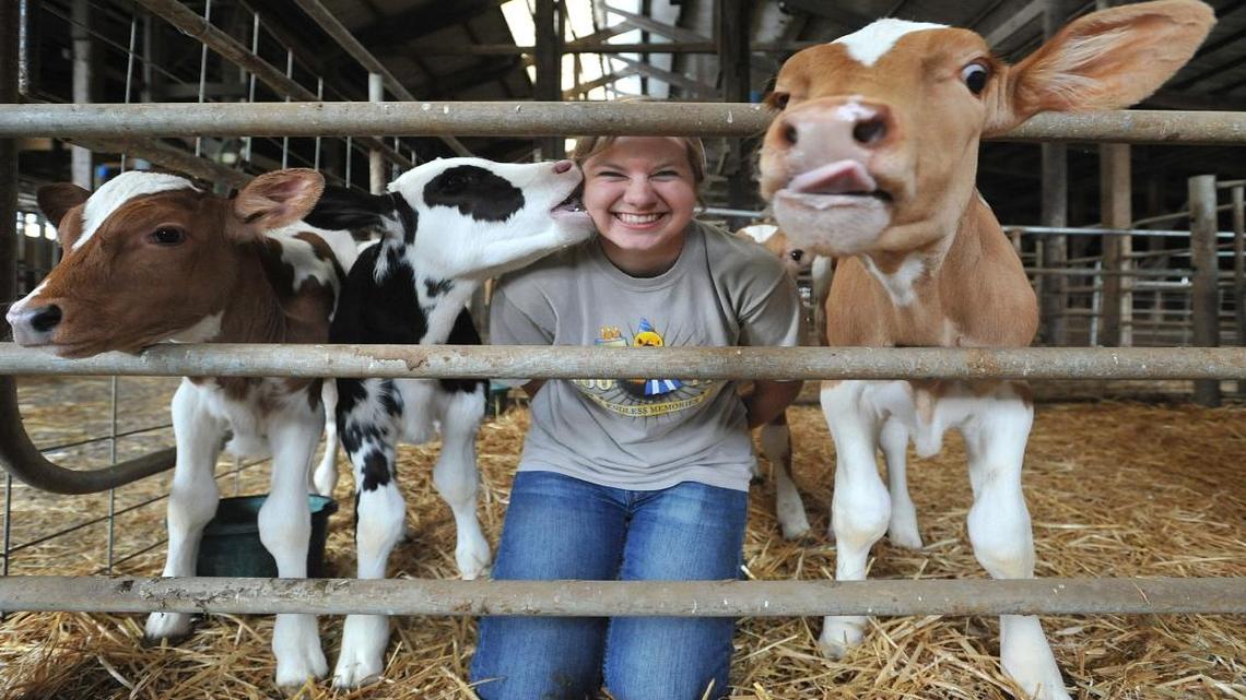 Bet you won’t guess the No. 1 attraction for families at the Northwest Washington Fair
