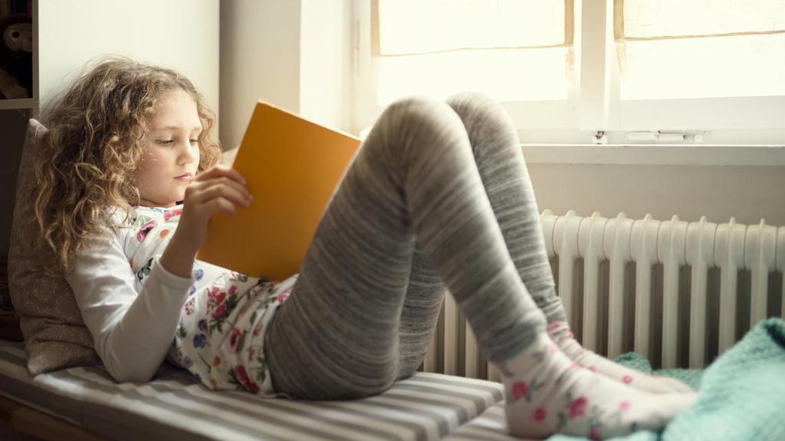 10 books about families, holidays, or just plain fun, from Whatcom County libraries