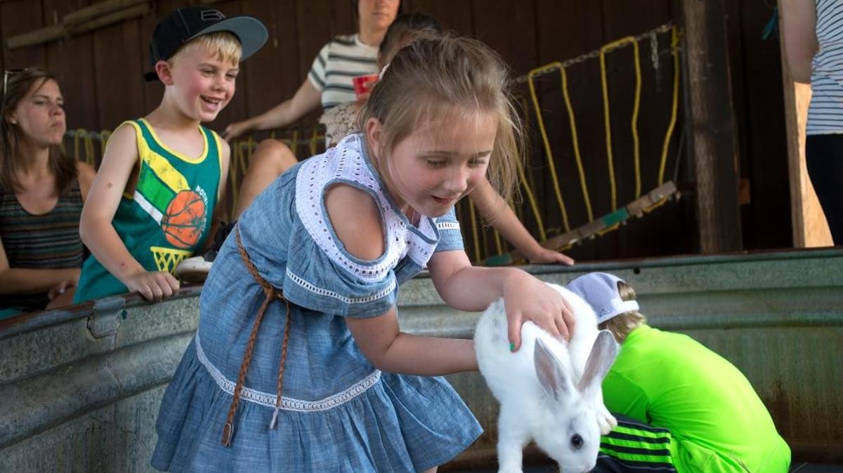 Kids play with bunnies at Dan Cramer's Western Town on Saturday, July 8, in Lynden.
