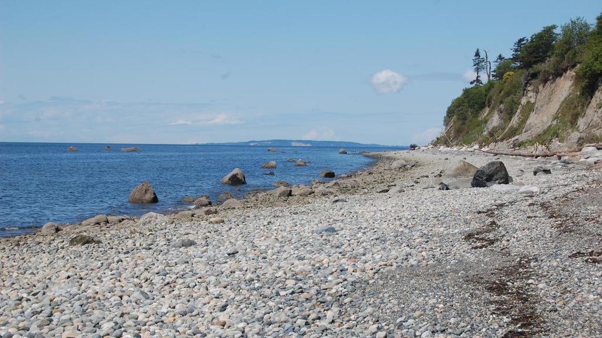 Point Whitehorn features a broad expanse of sand and cobblestone beach south of Birch Bay.